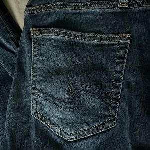 Silver Jeans Avery Skinny